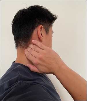 levator scapulae self massage
